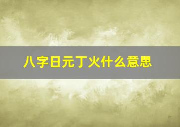 八字日元丁火什么意思