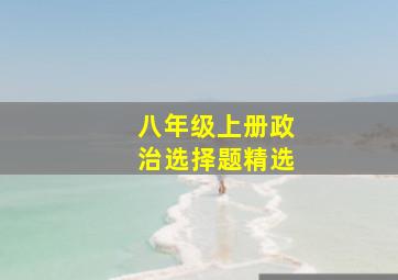 八年级上册政治选择题精选