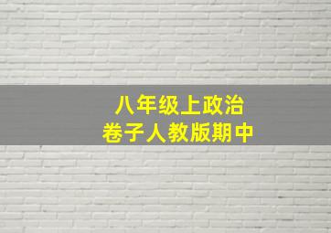 八年级上政治卷子人教版期中