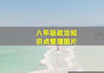 八年级政治知识点整理图片