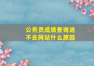 公务员成绩查询进不去网站什么原因