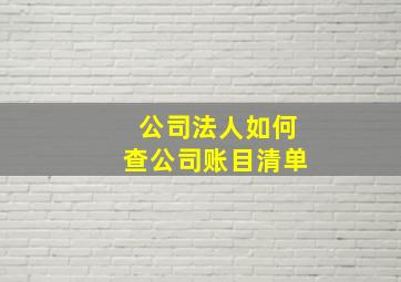 公司法人如何查公司账目清单