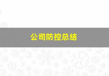 公司防控总结