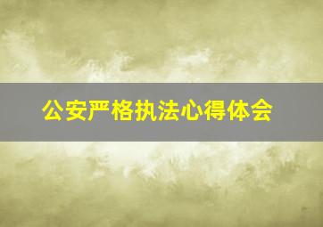 公安严格执法心得体会