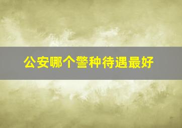 公安哪个警种待遇最好