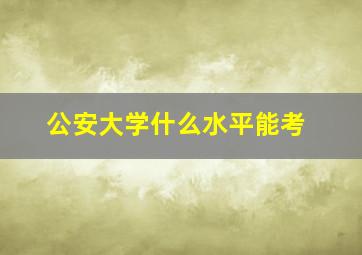 公安大学什么水平能考