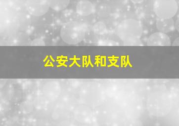 公安大队和支队