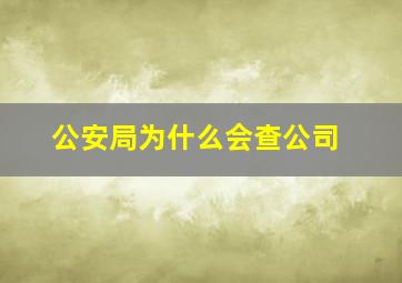 公安局为什么会查公司