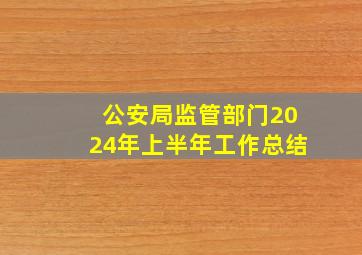 公安局监管部门2024年上半年工作总结