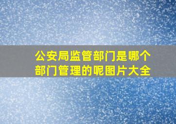 公安局监管部门是哪个部门管理的呢图片大全