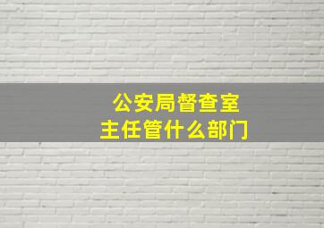 公安局督查室主任管什么部门