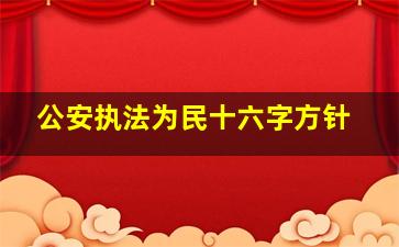 公安执法为民十六字方针