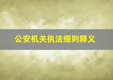 公安机关执法细则释义