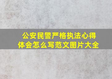 公安民警严格执法心得体会怎么写范文图片大全