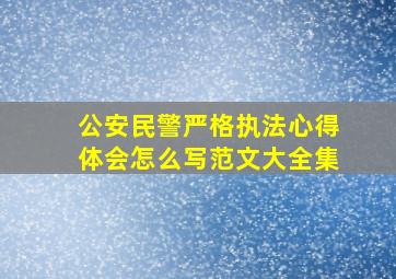 公安民警严格执法心得体会怎么写范文大全集