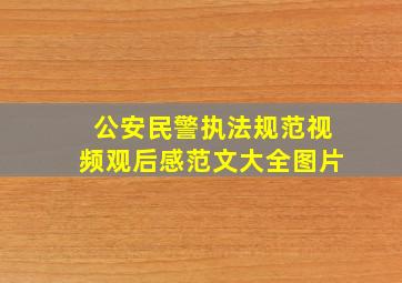 公安民警执法规范视频观后感范文大全图片