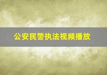 公安民警执法视频播放