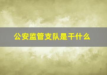 公安监管支队是干什么