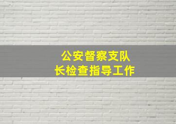 公安督察支队长检查指导工作