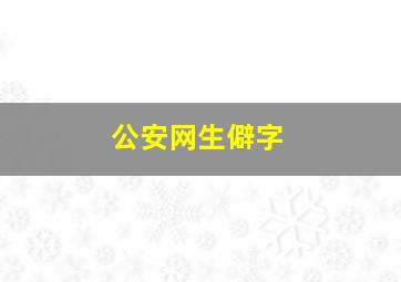 公安网生僻字