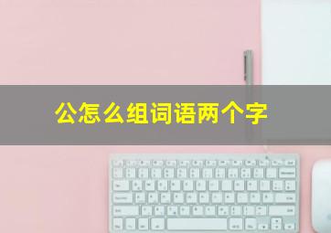 公怎么组词语两个字