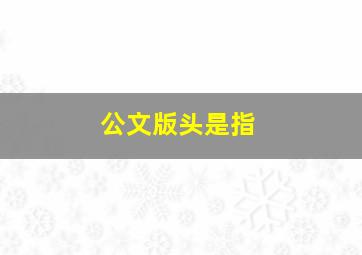 公文版头是指