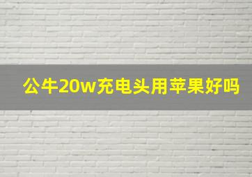 公牛20w充电头用苹果好吗