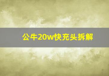 公牛20w快充头拆解