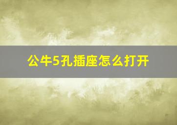 公牛5孔插座怎么打开