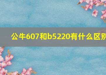 公牛607和b5220有什么区别