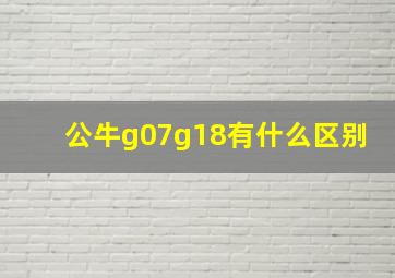 公牛g07g18有什么区别