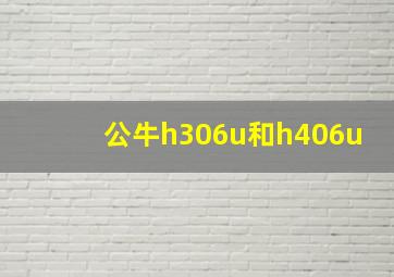 公牛h306u和h406u