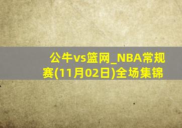 公牛vs篮网_NBA常规赛(11月02日)全场集锦