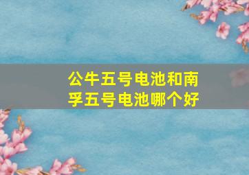 公牛五号电池和南孚五号电池哪个好