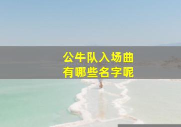 公牛队入场曲有哪些名字呢