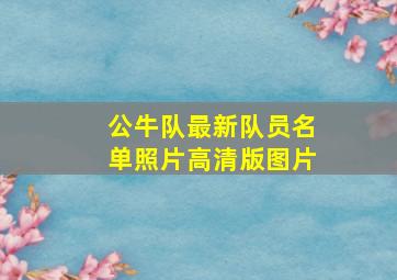 公牛队最新队员名单照片高清版图片