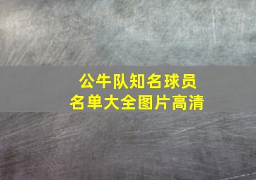 公牛队知名球员名单大全图片高清