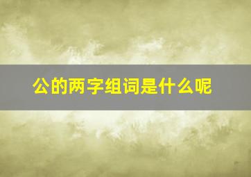 公的两字组词是什么呢