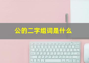 公的二字组词是什么