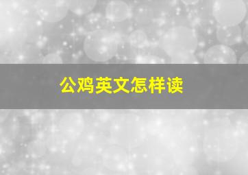 公鸡英文怎样读