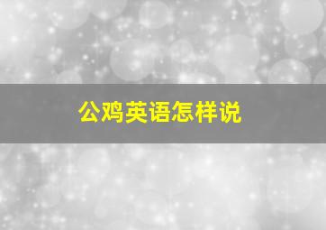 公鸡英语怎样说