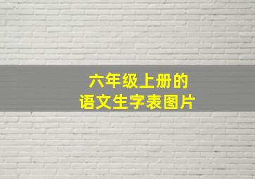 六年级上册的语文生字表图片