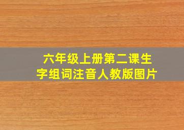 六年级上册第二课生字组词注音人教版图片