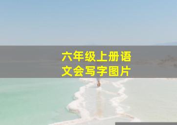 六年级上册语文会写字图片