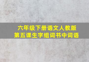 六年级下册语文人教版第五课生字组词书中词语