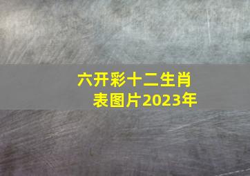 六开彩十二生肖表图片2023年