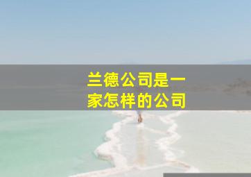 兰德公司是一家怎样的公司