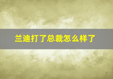 兰迪打了总裁怎么样了