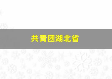 共青团湖北省