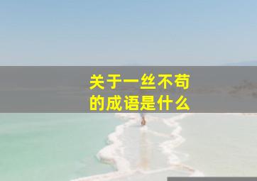 关于一丝不苟的成语是什么